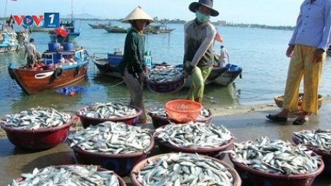 Thực trạng và giải pháp phát triển nguồn nhân lực ngành khai thác thủy sản. (01/5/2016)