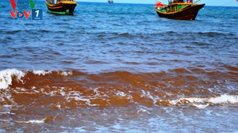 Các nhà khoa học lấy mẫu nghiên cứu vệt nước biển đổi màu đỏ đục lạ thường kèm theo nhiều cá mới chết liên tục dạt vào bờ tại bờ biển xã Nhân Trạch, huyện Bố Trạch, tỉnh Quảng Bình (Thời sự đêm 4/5/2016)