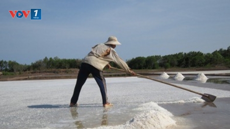 Thủ tướng Chính phủ quyết định tăng mức hỗ trợ và thời gian hỗ trợ ngư dân, diêm dân 4 tỉnh miền Trung bị ảnh hưởng do hiện tượng hải sản chết bất thường. (Thời sự chiều 25/6/2016)
