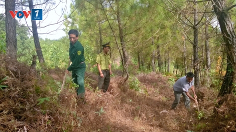 Phòng chống cháy rừng: Còn những nỗi lo (27/6/2016)