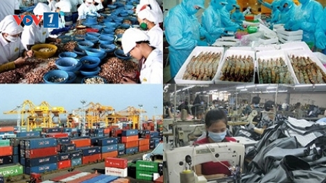 Phát huy vai trò kinh tế tư nhân trong nền kinh tế hội nhập (7/6/2016)