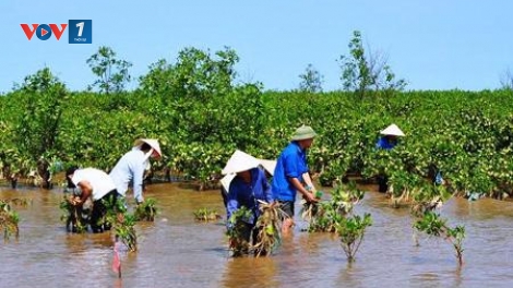 Ứng phó với biến đổi khí hậu ở đồng bằng sông Cửu Long, cần lồng ghép giới trong các hoạt động (7/6/2016)
