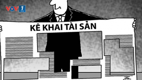 Kiểm soát kê khai tài sản, cần một cơ quan đủ thẩm quyền. (15/7/2016)