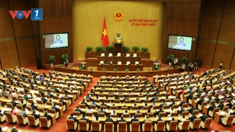 Cử tri kỳ vọng vào đội ngũ nhân sự cấp cao lãnh đạo đất nước phát triển. (22/7/2016)