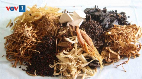 Phòng và hỗ trợ điều trị một số bệnh thường gặp bằng thuốc nam. (5/7/2016)