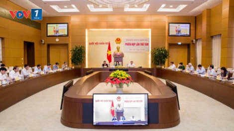 100% thành viên trong Hội đồng bầu cử quốc gia bỏ phiếu không xác nhận tư cách đại biểu Quốc hội khóa 14 đối với bà Nguyễn Thị Nguyệt Hường (Thời sự chiều 17/7/2016)