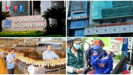 Mô hình quản lý và giám sát vốn nhà nước tại doanh nghiệp. (23/7/2016)