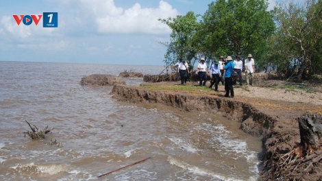 Cà Mau với các giải pháp phòng chống biến đổi khí hậu  (28/8/2016)