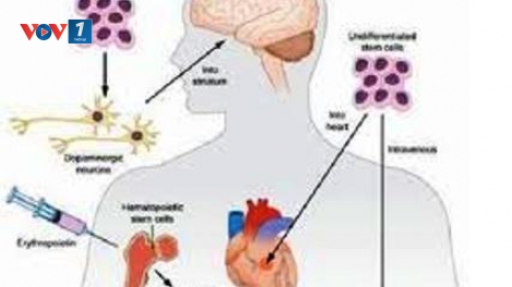 Tế bào gốc và những ứng dụng trong y học. (12/8/2016)