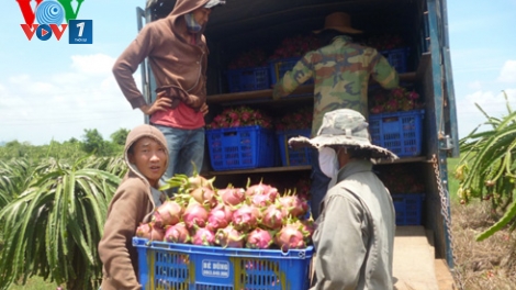 Đừng bỏ trứng vào một giỏ (18/8/2016)