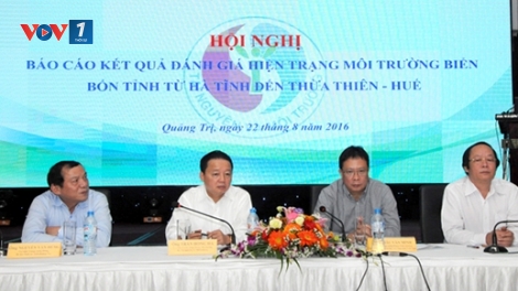 Những tín hiệu tốt từ môi trường biển miền Trung. (29/8/2016)