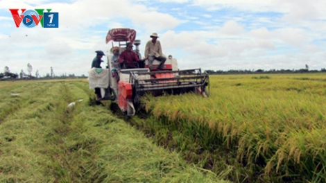 Phát triển công nghiệp cơ khí: Cơ hội từ cây lúa (15/8/2016)