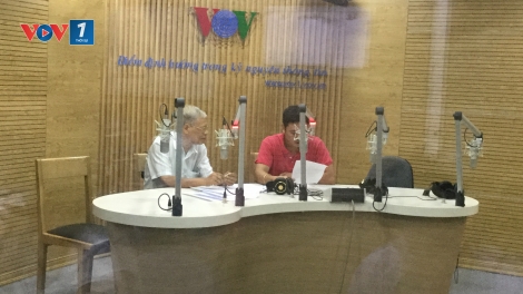 Kinh nghiệm chọn giống gà tốt, góp phần chăn nuôi gà bền vững (31/8/2016)