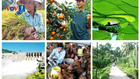 Không để nông dân đứng bên lề chính sách (1/8/2016)