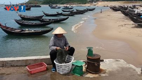 Bồi thường, hỗ trợ thiệt hại sau sự cố Formosa (1/9/2016)