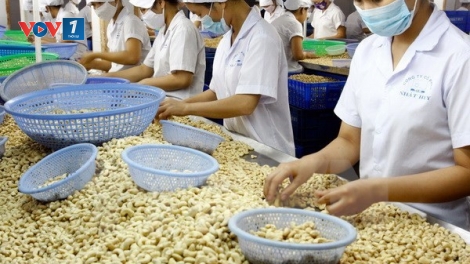 Nghị quyết 35: Thúc đẩy doanh nghiệp phát triển (02/09/2016)