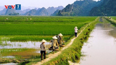Mở rộng diện miễn thuế đất nông nghiệp (26/9/2016)