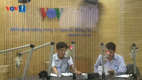 Nâng cao năng suất, chất lượng, hiệu quả trồng ngô vụ đông 2016 ở miền Bắc (21/9/2016)