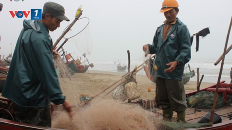 Tỉnh Quảng Trị tăng cường cán bộ xuống 16 xã, thị trấn vùng biển để giúp người dân chuyển đổi sản xuất, sau sự cố môi trường biển do Formosa gây ra (Thời sự đêm 5/9/2016)