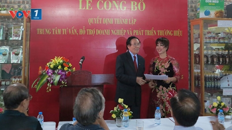 Các giải pháp hỗ trợ doanh nghiệp xây dựng và phát triển thương hiệu. (06/9/2016)