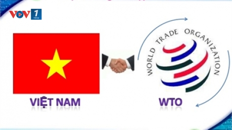 Bài học kinh nghiệm sau 10 năm gia nhập Tổ chức Thương mại thế giới (WTO) (11/1/2017)