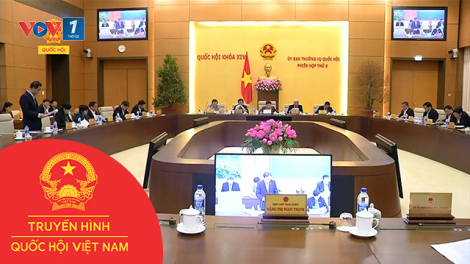 Chính phủ trình Quốc hội dự thảo Luật: Cần đúng quy trình (13/1/2017)