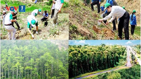 Phát triển kinh tế gắn với bảo vệ môi trường (11/1/2017)