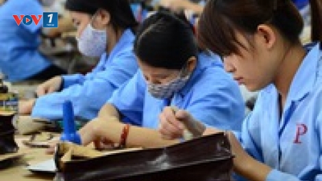 Bộ Lao động Thương binh và Xã hội đề xuất tăng gấp 3 lần đối với giờ làm thêm trong một năm hiện nay  (Thời sự đêm 04/01/2017)