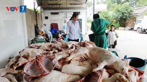 Vì sao thực phẩm “bẩn” từ biên giới vẫn tràn vào nội địa (9/1/2017)