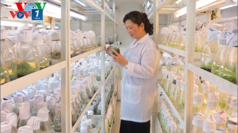 Các nhà nữ khoa học với nghiên cứu vị nhân sinh (20/10/2017)