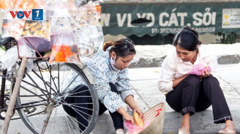 Lao động tự do chưa mặn mà với bảo hiểm xã hội (5/10/2017)