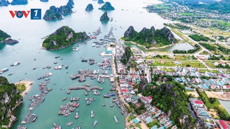 Đặc khu kinh tế: Ưu đãi có hấp dẫn nhà đầu tư? (29/11/2017)