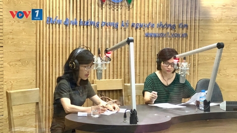 Khôi phục và bảo vệ vườn tiêu sau mưa bão (15/11/2017)