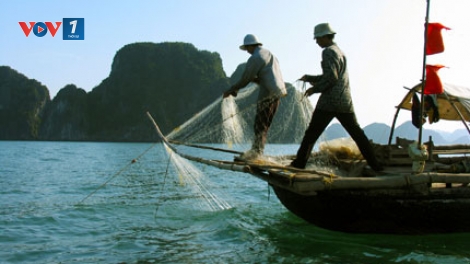 Nghị định 103 về quy định xử phạt vi phạm hành chính trong hoạt động thủy sản (10/11/2017)