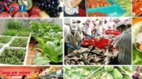 Kỹ sư Phạm Tiến Duật với những trăn trở để người tiêu dùng được sử dụng thực phẩm đảm bảo an toàn vệ sinh thực phẩm. (27/11/2017)