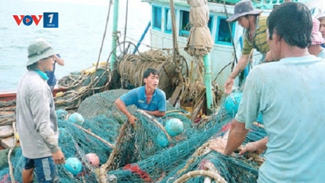 Cần chính sách đặc thù cho lao động nghề cá (25/12/2017)