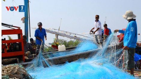 Bảo tồn biển bền vững, cần thay đổi nhận thức của ngư dân và địa phương (01/12/2017)