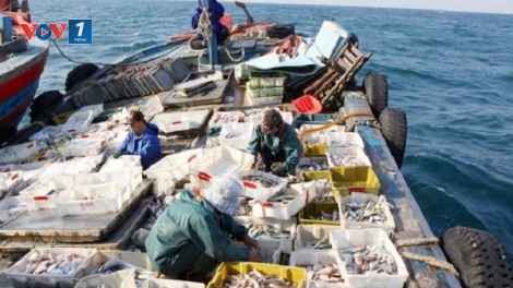 Truy xuất nguồn gốc thủy sản ngay tại cảng: Điểm mới trong Luật Thủy sản sửa đổi (13/12/2017)