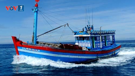 Khắc phục tình trạng tàu cá nước ta xâm phạm vùng biển nước ngoài khi khai thác hải sản (22/2/2017)