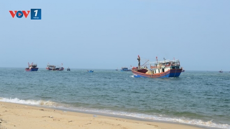 Cục Dự trữ Quốc gia khẳng định không có chuyện cấp gạo kém chất lượng hỗ trợ người dân miền Trung sau sự cố môi trường biển (Thời sự đêm 22/02/2017)