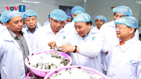 Để trở thành công xưởng tôm thế giới (16/02/2017)