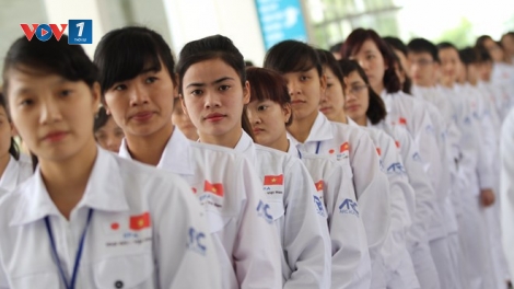 Tư vấn về thị trường lao động Nhật Bản (26/2/2017)