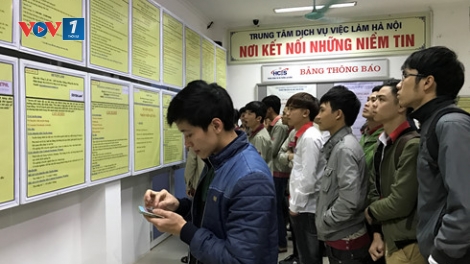Đưa cử nhân thất nghiệp đi làm việc tại nước ngoài, liệu có khả thi? (21/02/2017)