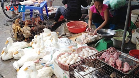Người dân không nên mua gia cầm trôi nổi, không rõ nguồn gốc tránh nguy cơ lây lan dịch cúm (Thời sự đêm 05/3/2017)