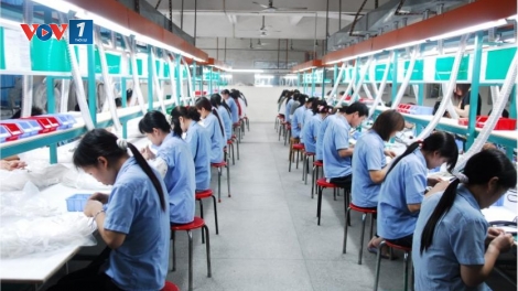 Du học và xuất khẩu lao động (7/4/2017)