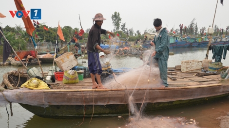 Thiếu lao động nghề biển: Vì sao? (01/5/2017)