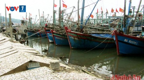 Ngư dân huyện Quỳnh Lập, Nghệ An mạnh dạn đầu tư tàu công suất lớn để chuyển đổi nghề khai thác (10/4/2017)