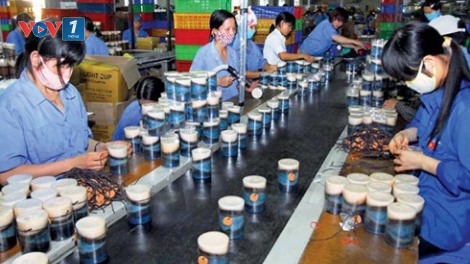 Kinh tế tư nhân- cần được xóa rào cản, công bằng nguồn lực để phát triển (8/5/2017)