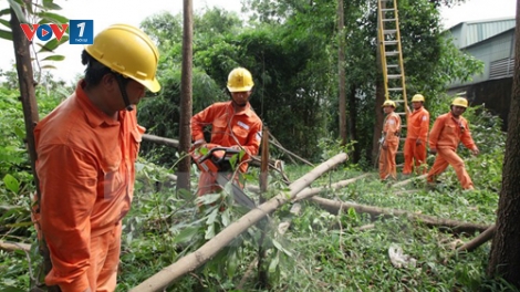 Tổng công ty Điện lực thành phố Hà Nội tập trung các giải pháp bảo đảm an toàn hành lang lưới điện trước mùa mưa bão. (11/5/2017)
