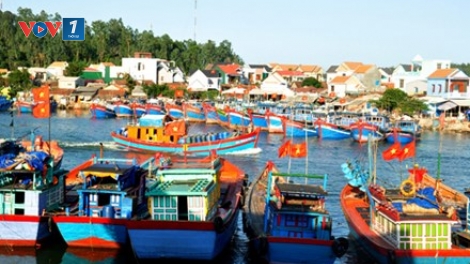 Trung tâm dịch vụ hậu cần nghề cá: Điểm tựa cho ngư dân vươn khơi góp phần phát triển kinh tế biển (24/5/2017)
